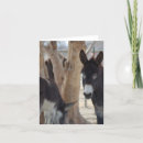 Pesquisar por arte eqüino cartoes Animais