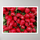 Pesquisar por produtos fotografia Rabanete