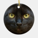 Pesquisar por olhos assustadores ornamentos Gatinho