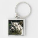 Pesquisar por tigre branco chaveiros Natureza