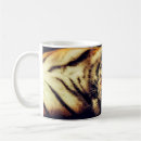 Pesquisar por tiger canecas Gato