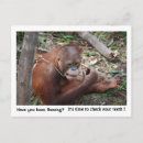 Pesquisar por consulta cartoes postais Dentista