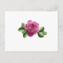 Pesquisar por rosas violetas cartoes postais Roxo