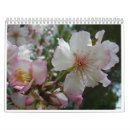 Pesquisar por israel calendarios Judaico