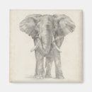 Pesquisar por áfrica imas Safari