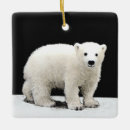 Pesquisar por urso polar ornamentos Neve