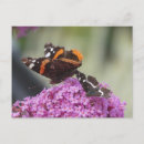 Pesquisar por borboleta vermelha cartoes postais Qualquer pessoa