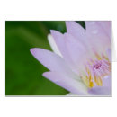 Pesquisar por orvalho fotografia Natureza