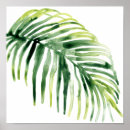 Pesquisar por jóia pôsteres pósteres Tropical