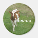Pesquisar por vacas imas Leite
