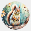 Pesquisar por squirrel adesivos Vida selvagem