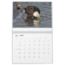 Pesquisar por águia calendarios Raptor