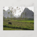 Pesquisar por pastagem Natureza