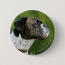 Pesquisar por canino botons Foto