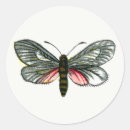 Pesquisar por imagens da borboleta adesivos Ilustração