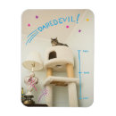 Pesquisar por fluffy cat imas Gatinho