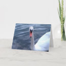 Pesquisar por cisne branco cartoes Lago