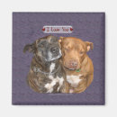 Pesquisar por eu amo terrier de touro Staffie
