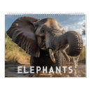 Pesquisar por elefante calendarios Animal