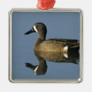 Pesquisar por rio sul ornamentos Natureza