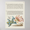 Pesquisar por vintage botanical pósteres Plantas