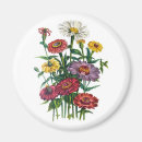 Pesquisar por zinnia imas Amarelo