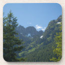 Pesquisar por picos porta copos Washington