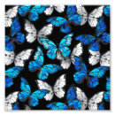 Pesquisar por borboletas pretas kodak Preto