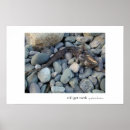 Pesquisar por dentes pósteres Oceano