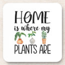 Pesquisar por plant porta copos Para todos