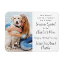 Pesquisar por do feliz dia das mães imas Mãe de cachorro