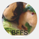 Pesquisar por o de bff adesivos Qualquer pessoa