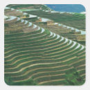 Pesquisar por terraço adesivos Paisagem