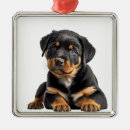 Pesquisar por rottweiler ornamentos Malandra