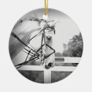 Pesquisar por cavalo ornamentos Equitação