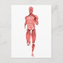 Pesquisar por tridimensionais cartoes postais Ombro