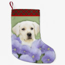 Pesquisar por labrador retriever de natal meias de natal Amarelo