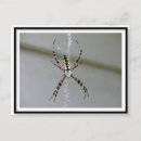 Pesquisar por aranha cartoes postais Halloween