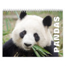 Pesquisar por urso panda calendarios Animal