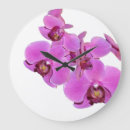 Pesquisar por orquídea relogios de parede Rosa