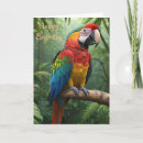 Pesquisar por papagaio colorido cartoes Selva
