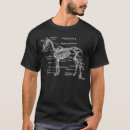Pesquisar por cavalo de esqueleto camisetas Anatomia