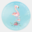 Pesquisar por flamingo cor de rosa adesivos Para ela