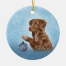 Pesquisar por scotia ornamentos Cão