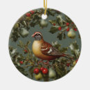 Pesquisar por árvore de pera ornamentos Perdiz