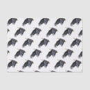 Pesquisar por águia papeis de seda Patriótico