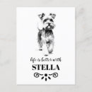 Pesquisar por miniature schnauzer cartoes postais Cão schnauzer miniatura