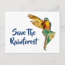 Pesquisar por floresta tropical cartoes postais Selva