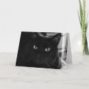 Pesquisar por humor felino cartoes Preto