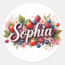 Pesquisar por sophia adesivos Para crianças